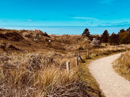 Dünenlandschaft